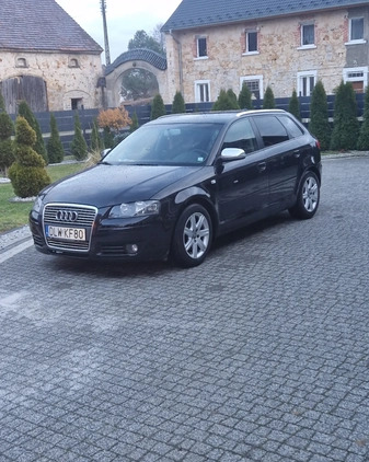 Audi A3 cena 24900 przebieg: 192810, rok produkcji 2008 z Ostrów Lubelski małe 67